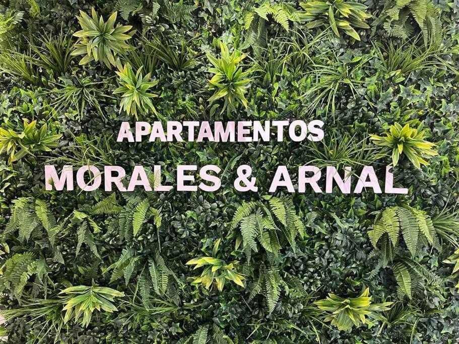XX D Apartamentos Morales & Arnal Ронда Экстерьер фото